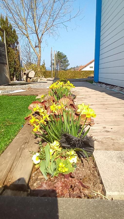 Logement De Charme Coinches Luaran gambar